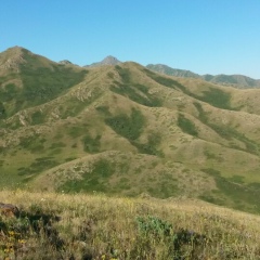 Bek Abduraimov, 17.03.1987, Алматы