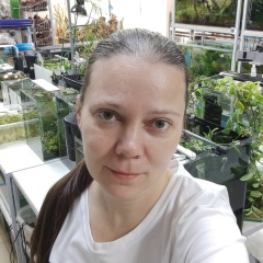 Оксана Чеботарева, 11.03.1980, Великий Новгород