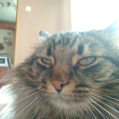 Всеволод Михалевский, 31.07, Москва