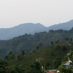 Moe Nari, 07.11.1988