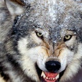 Damir Tuleev, Уральск