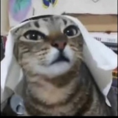 Куатжан Косжан, 14.04, Алматы