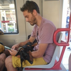 Raffarigonyahoocombr Rei, 13.03.2005