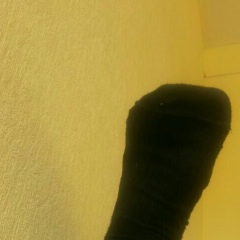 Marat Nuretdinov, 08.04.1993, Canberra