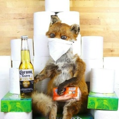 Упоротый Лис, 23.05, London