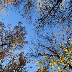 Ан Хме, 03.09, Praha