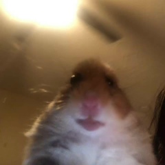 Дарья Измайловская, Москва