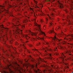 Даша Морякова, 01.02.1998, Москва