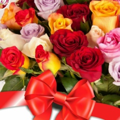 Наурызбек Орынбасар, 23.03, Кульсары