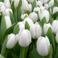 Наташа Щетко, 25.02.1986