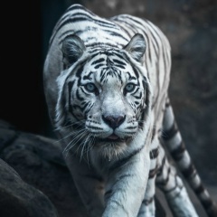 Сергей Усанов, 22.03.1986, Санкт-Петербург