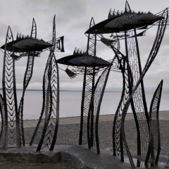 Сергей Волков, 01.01, Кириши (деревня)