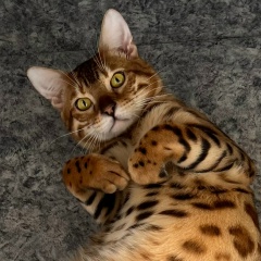 Юлия Патрикеева, 26.09