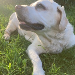 Константин Продченко, 16.04.1973, Санкт-Петербург