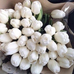 Светлана Рассказчикова, 15.05, Москва