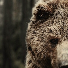 Антон Фоменков, 01.01.1981, Кострома