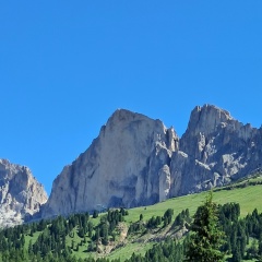Giovanni Bulni, 31.03, Firenze