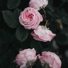 Баян Демеугали, 26.02.1991, Атырау