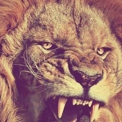 Хаваж Мургустов, 19.05, Москва