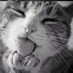 Искандер Елеусизов, 09.08, Астана