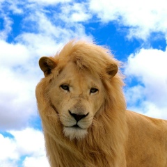 Миша Иванов, 18.05.1988, Киев