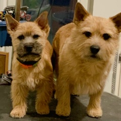 Анна Иванова, 01.04, Санкт-Петербург