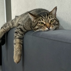 Катерина Хакимова, 21.09