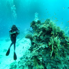 Aya Mashtieva, 01.01.1997, Москва
