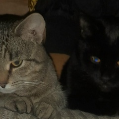 @nyutk@ Фофанова, 19.06.1986, Ижевск