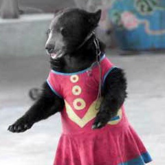 Камалбек Абдыллаев, 24.03.1977, Москва