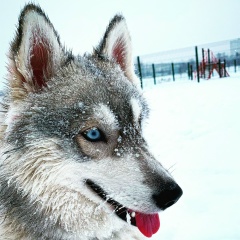 Юра Давлятёров, 13.03, Москва