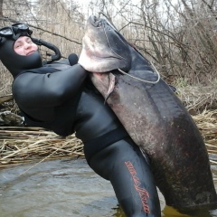 Sergey Sergeevich, 31.12.1901, Киев