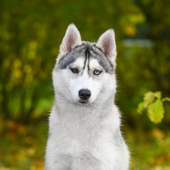 Нинуля Осипова, 29.11.1985, Санкт-Петербург