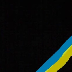 Олег Яшкир, Киев