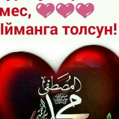 Maksat Kamchiev, 20.01, Джалал-Абад