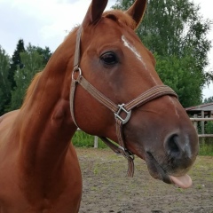 Ольга Ромченко, 16.05.1990, Москва