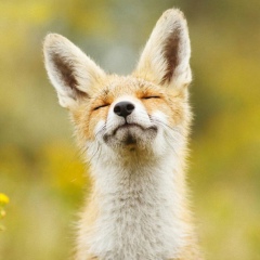 Екатерина Лукина, 04.06, Казань