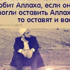Саид Сафаров, 28.07.1993, Ставрополь