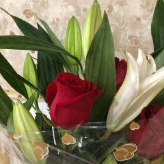 Саулеман Нуркина, 03.02, Тюмень