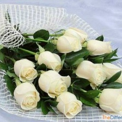 Айгуль Абдихадир, 24.12, Шымкент