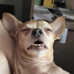 Антон Кокоуров, Енисейск