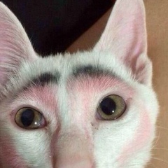 Александр Остапченко, 10.08, Екатеринбург