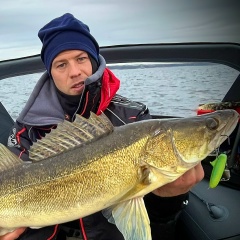 Борис Щербаков, Санкт-Петербург