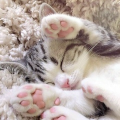 Карина Каскеева, 31.01.1994, Алматы