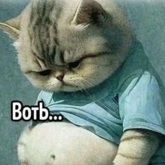 Виталий Кулик, 30.12.1988, Москва