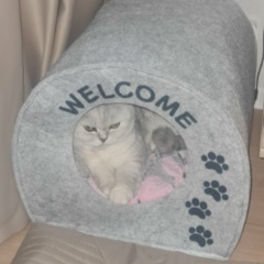 Наталия Калиниченко, 21.05, Санкт-Петербург