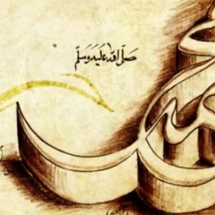 Shamil Mezhidov, 05.03, Грозный