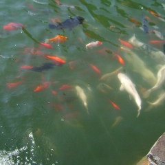 Інна Сінько, 01.04.1983, Оратов