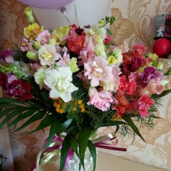 Ирочка Тарандюк, Одесса