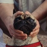 Егор Дедов, 30.07.1989, Санкт-Петербург